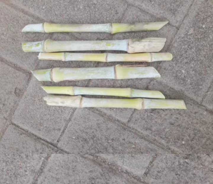 WhatsApp Image 2025-04-14 at 10.35.50_1f6b9878