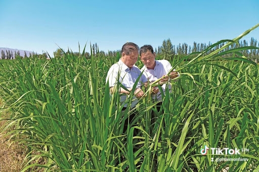 c11b3164-0de4-4c46-a4ce-a77d0951eb9d_0_watermark